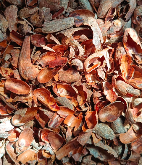 Kakavos lukštų arbata, 50g