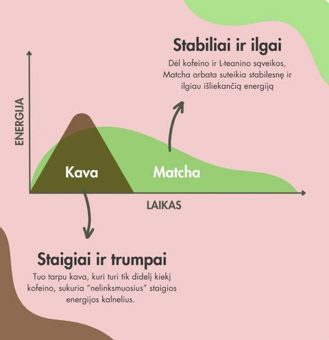Matcha žalioji arbata su Lion's Mane, 50 g feel