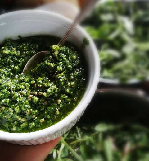 Dilgėlių ir pienių pesto