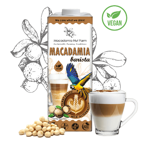 Makadamijos riešutų gėrimas BARISTA, 1 litras